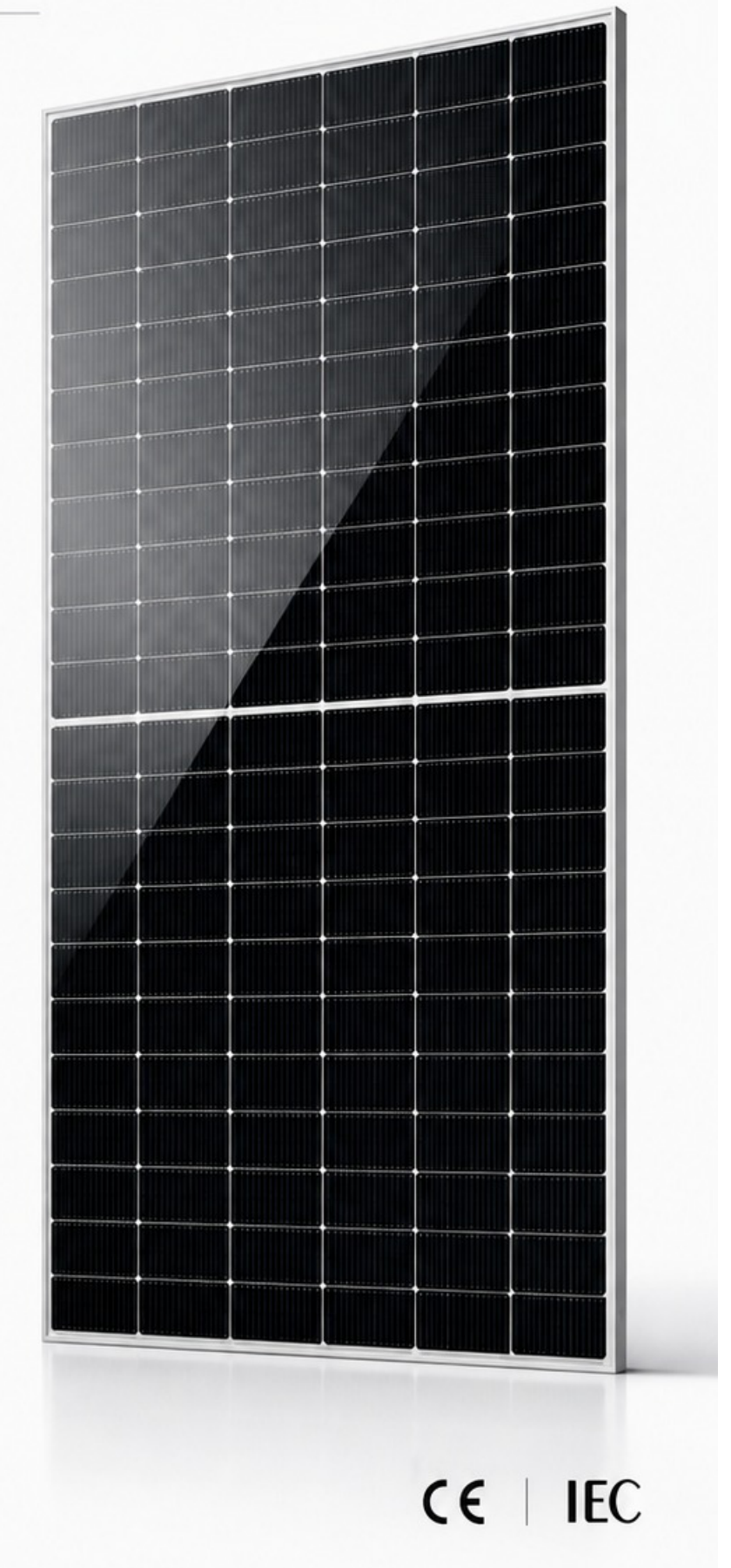 NPV640W Double Glass Bifacial Module